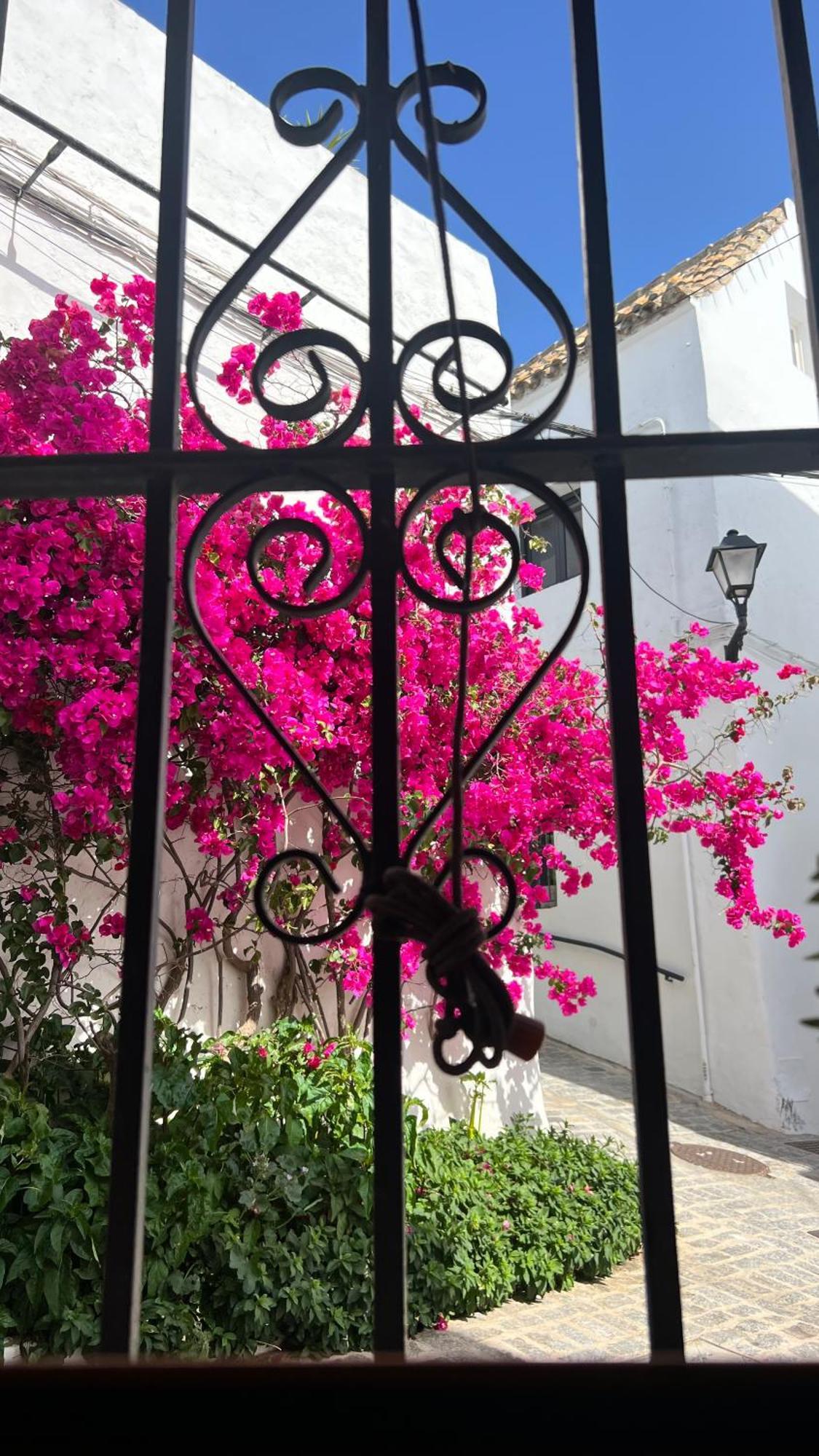 Buganvilla Vejer Appartement