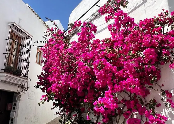 Suite Buganvilla Vejer